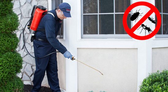 Felahiye Böcek ve Haşere İlaçlama böcek ilaçlama ve haşere kontrolü — ilaclama-tr.com